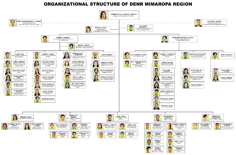 DENR MIMAROPA Region Organizational Structure